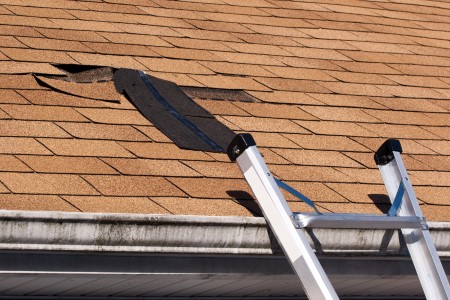 Roof repaired shingles