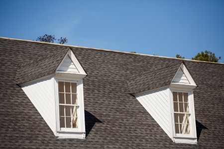 Roof shingles1